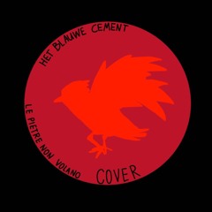 le pietre non volano (cover)