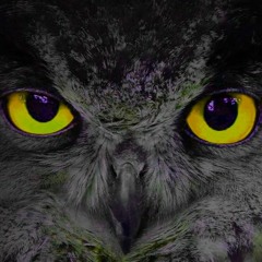 New Beat Of The Lost