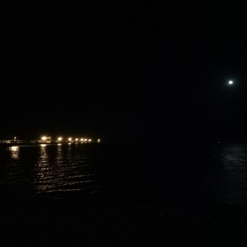 عمر خيرت وجه القمر