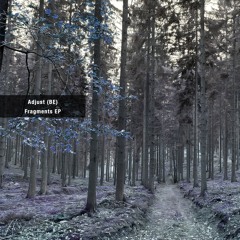 PREMIERE: Adjust (BE) - Fragments [hidden traffic]