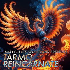 Immaculate Selections Presents - REINCARNATE - TARMO - Disc 3