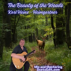 The Beauty Of The Woods