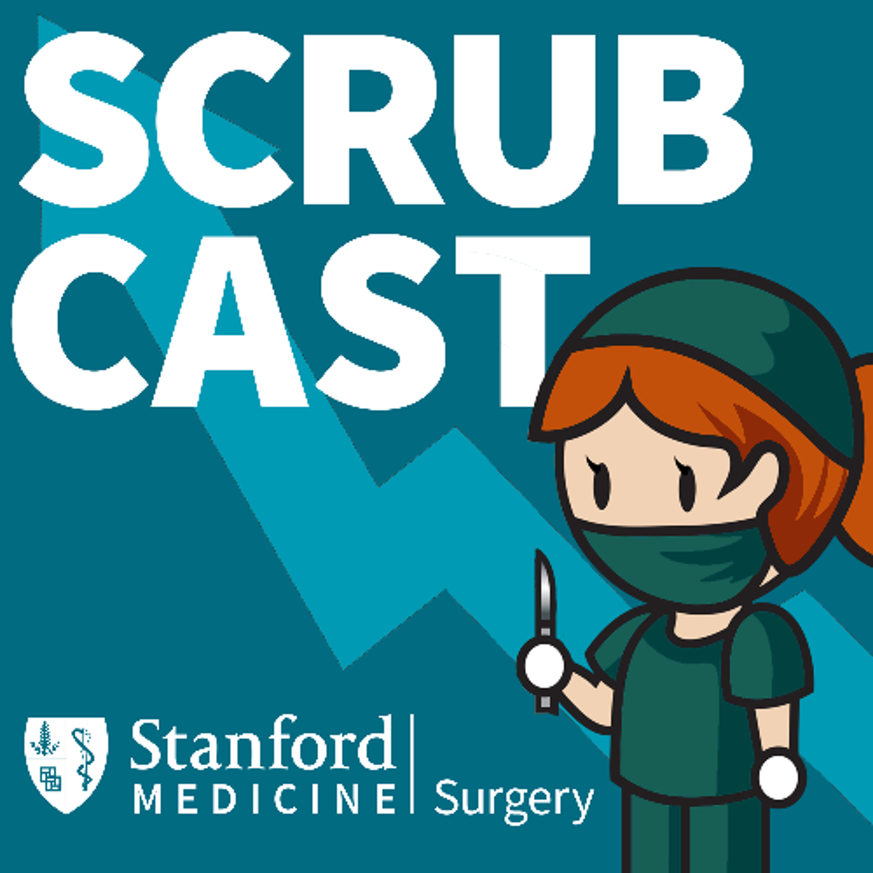 ScrubCast