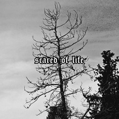 SCARED OF LIFE - MINDBLOWN (BLACK METAL TRAP)