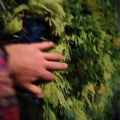 Garrsion Gallery 5hr mix