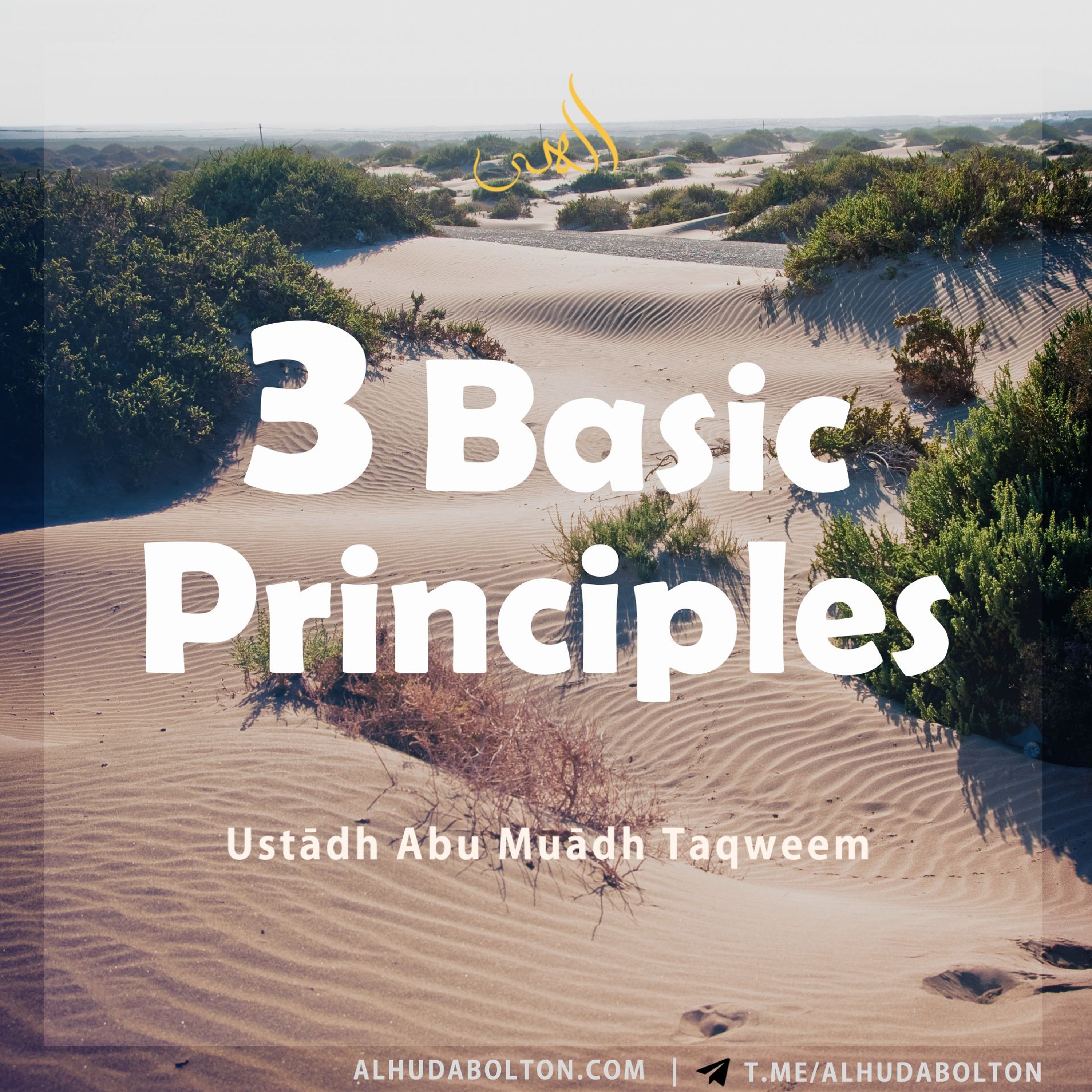 3 Basic Principles