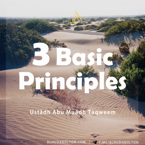 3 Basic Principles