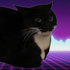 Maxwell the cat Synthwave