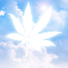 420/2025