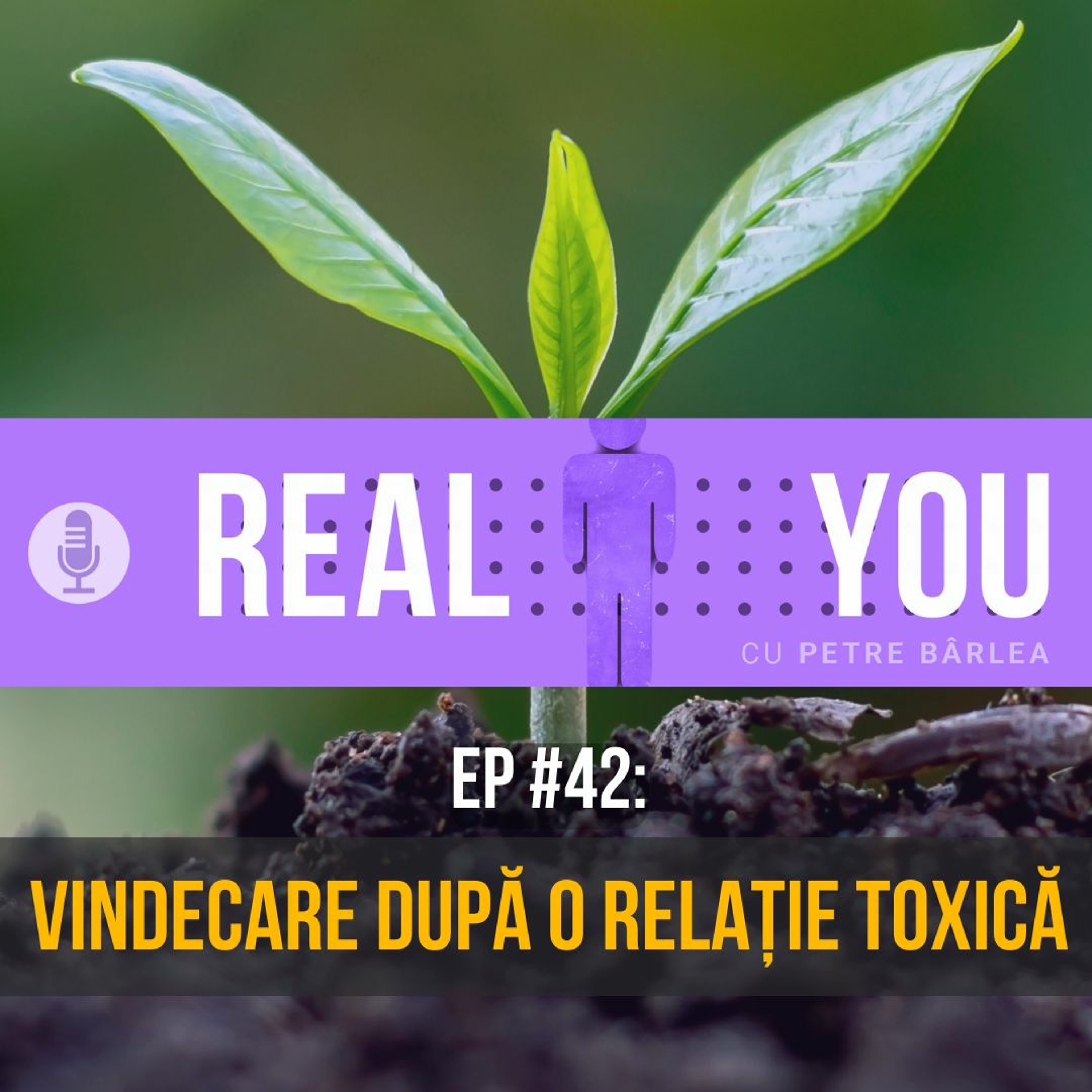 The Real You Podcast cu Petre Barlea
