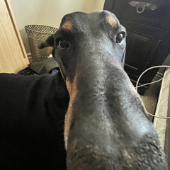 Subfiltronik X Styn-Blokout X Da Force-Jabba (VIP)