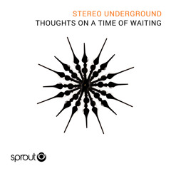 Premiere: Stereo Underground - Thoughts On A Time Of Waiting [Sprout]