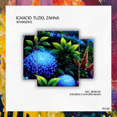 PREMIERE: Ignacio Tuzio, ZAHNA — Aphrodite (Evegrem & Leandro Murua Remix) [Polyptych]