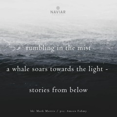 From Below (naviarhaiku326)