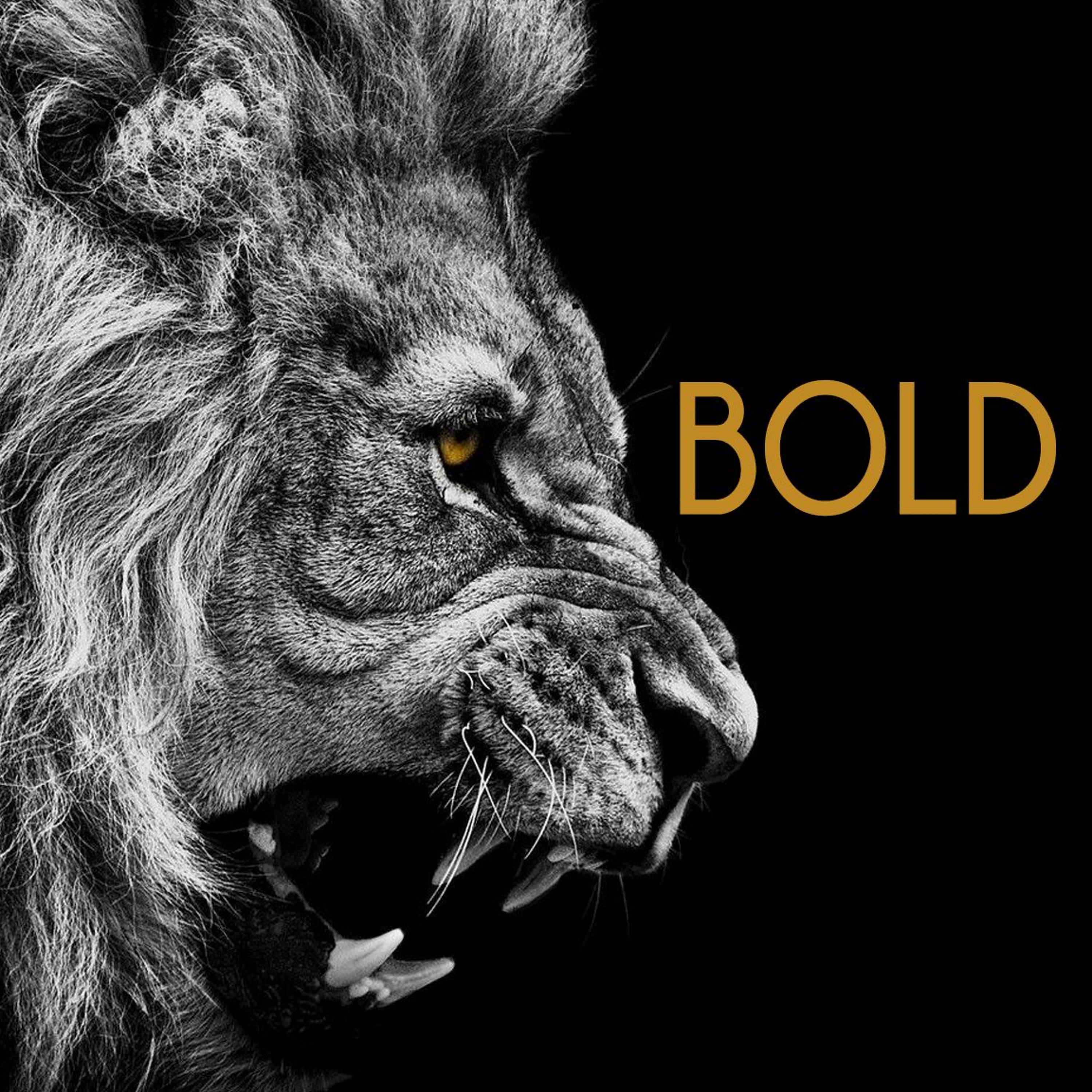 Bold - Week 4 episode artwork
