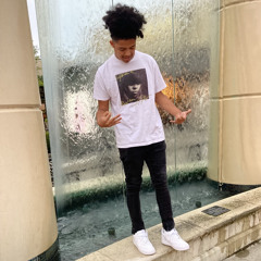 Disrespectable (ft- terrionfs)