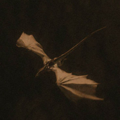 SlimeGetEm- Bismillah I Drac'd (slowed)