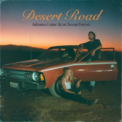 Desert Road (feat. Boom Forest)