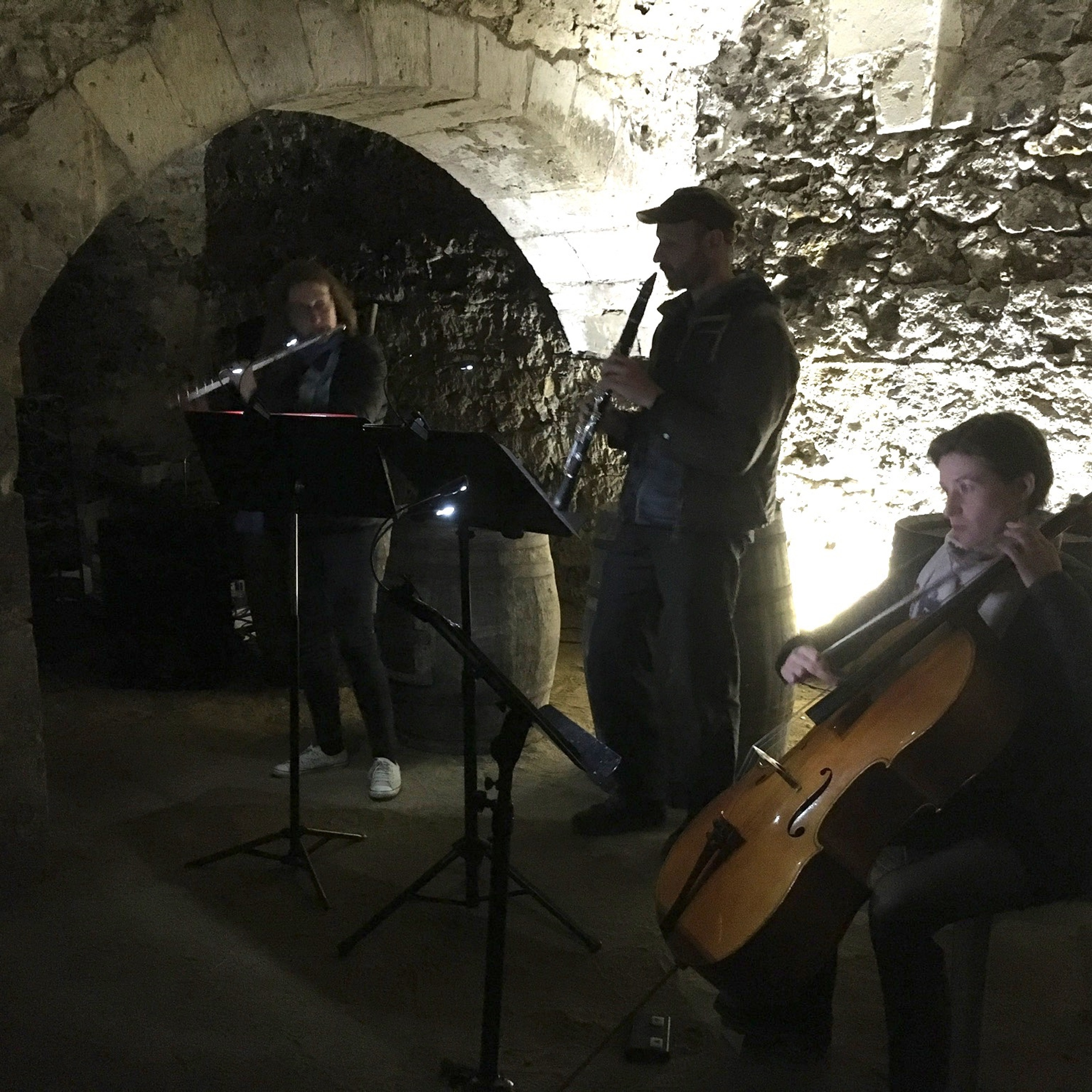 Le Cercle des Musiques Disparues