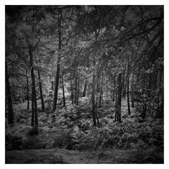 LA MAISON DES ZOMBIES