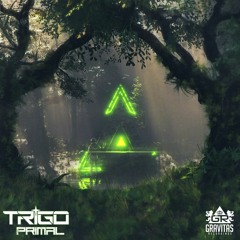 TRIGO - Primordial