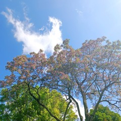 A balada de Tim bernardes (cover)