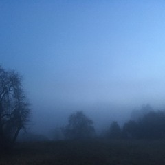 seeing not/dim by dint of/what's not seen - Sam Yulsman