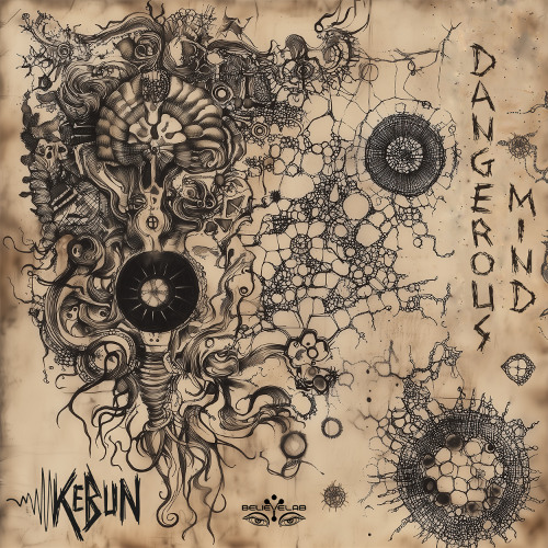 03 Kebun - Evolution 153 Bpm