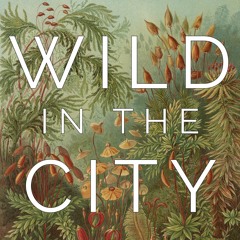Episode 5: Laura C. Martin, Wildflower Meadow Expert, Author and Artist