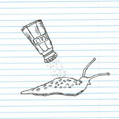 Salt on a Slug