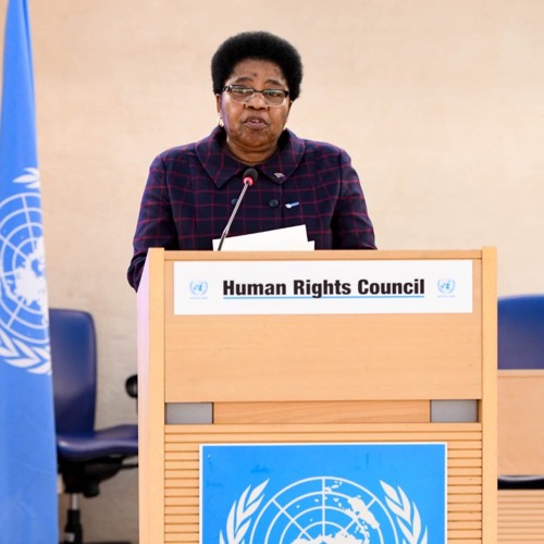 Stream South Africa's Statement -52nd session of the Human Rights ...