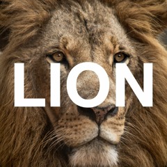 Lion (Free Copyright Music)