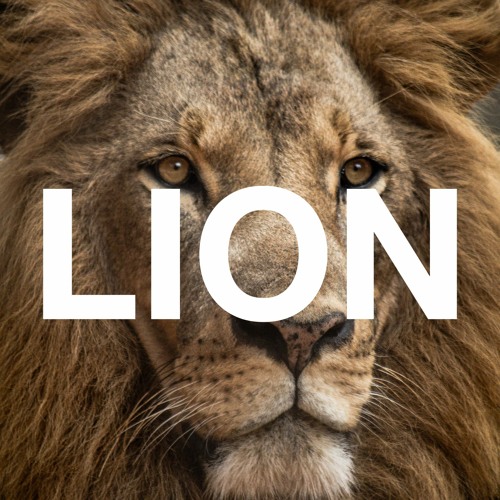 Stream Lion Free Copyright Music By Sapajou Listen Online For Free On Soundcloud