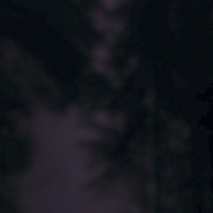 sleep walking