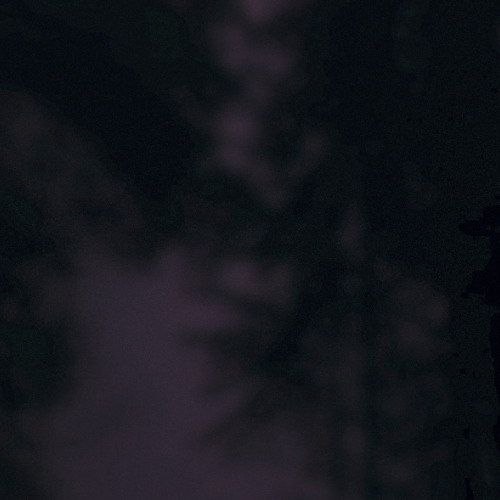 sleep walking (available on apple music & spotify)