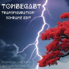 TRANSFIGURATION ( SCHRANZ Edit )