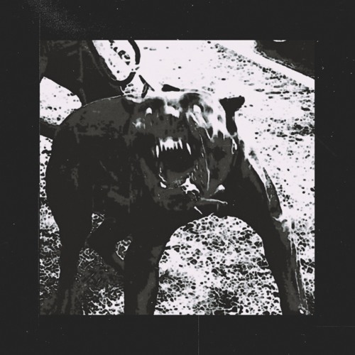 I CRAVE THIS PAIN , IT'S THE ONLY THING THAT REMINDS ME I'M ALIVE