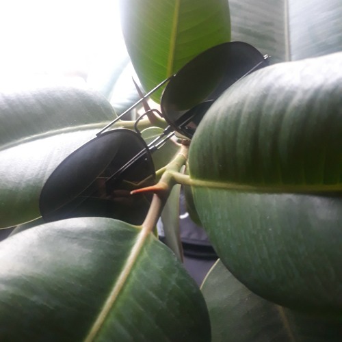 Emerald drops - tech house compilation mix #6