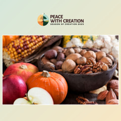 Sermon October 12 2025  Rev. Erin Klassen Peace with Creation