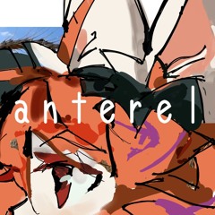chanterelle