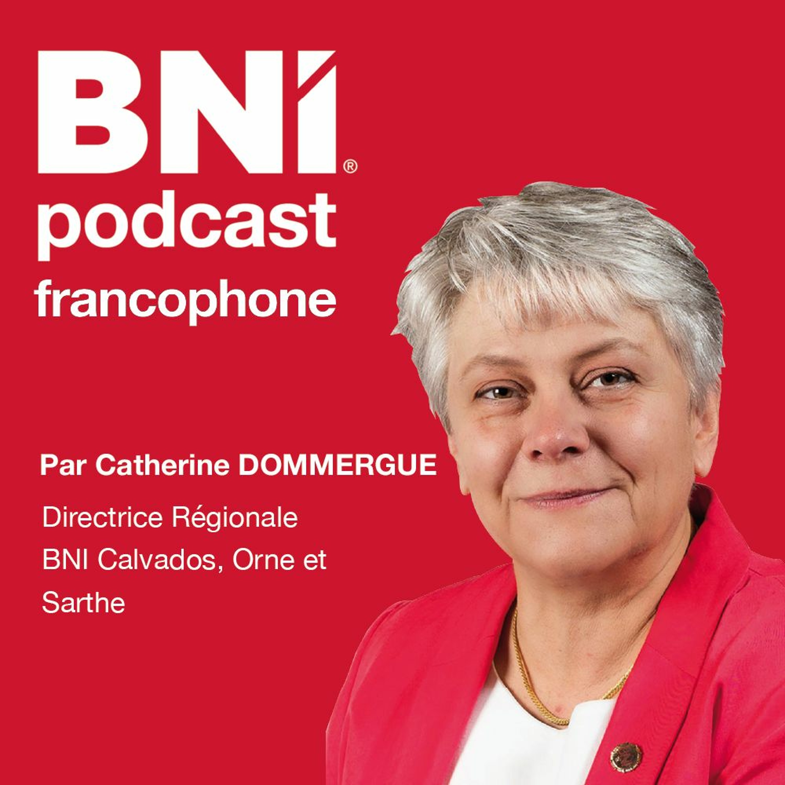 316 Dans Mon Groupe, Bienveillance...ou Laxisme PODCAST C.DOMMERGUE episode artwork
