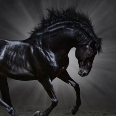 MAMBAARI - Dark Horse