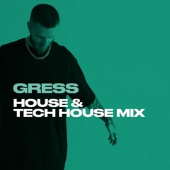 House & Tech House Mix 2k24