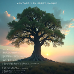 Vantage x Mashup