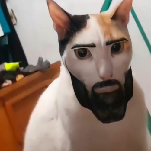 #baby #memes #сигма #мем #да #roblox #котики #greenscreen #funny #cute YouTube