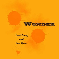 Wonder(Dan Reem & Fred Droog)