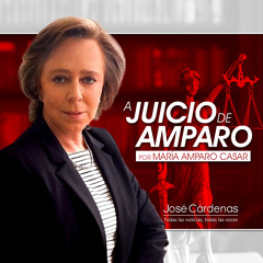 Ya nos es tolerante la violencia en México: María Amparo Casar