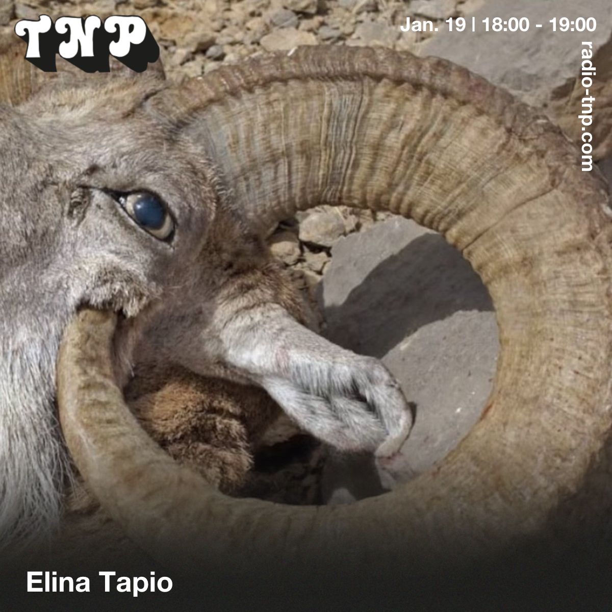 Elina Tapio
