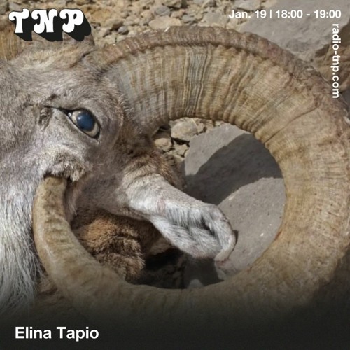 Elina Tapio @ Radio TNP 19.01.2024