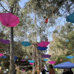 BATCHOU 🌳 FOLLOW THE FOREST